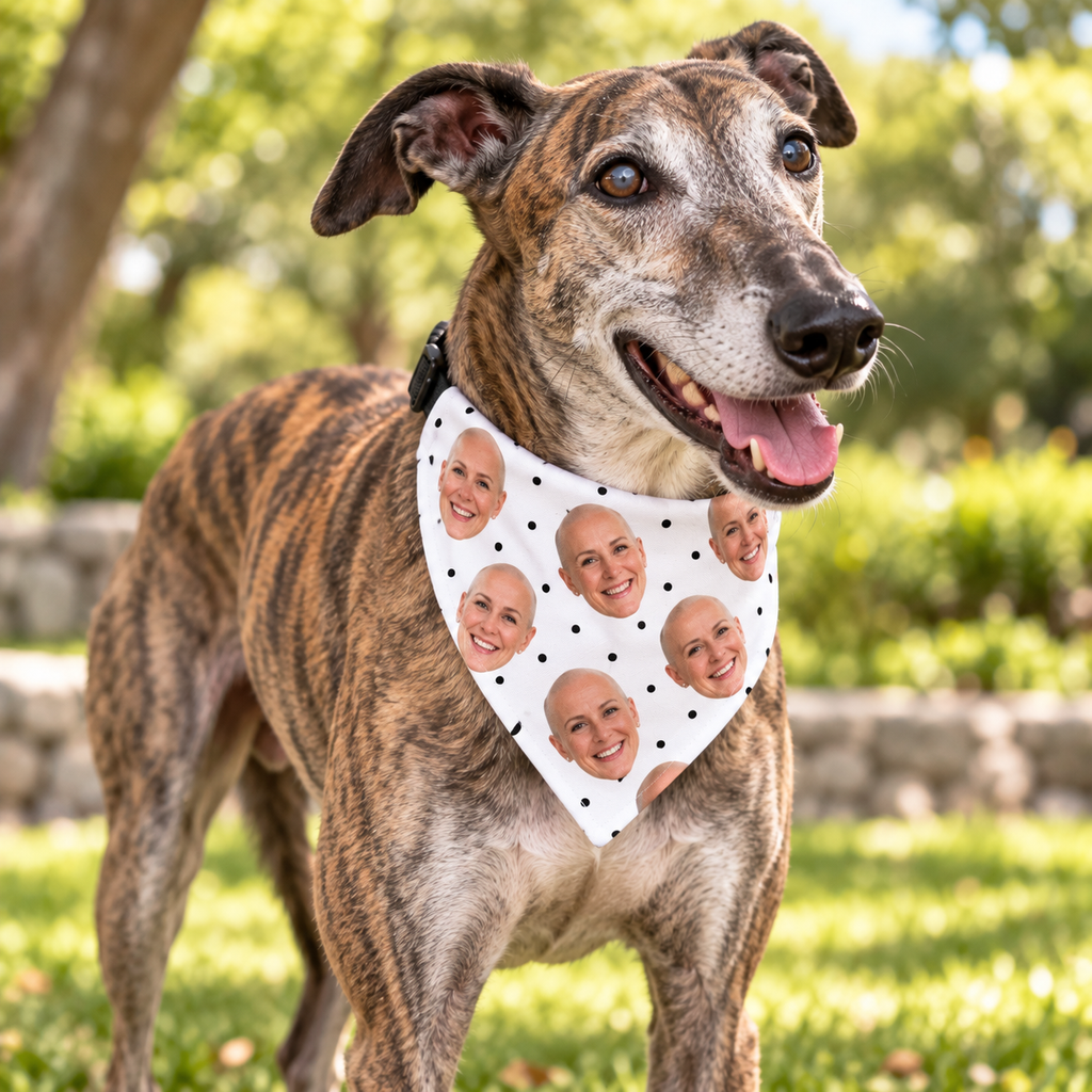 Sheloves personalized hero · Personalized Pet Bandana · batch-010 · audit-20260916