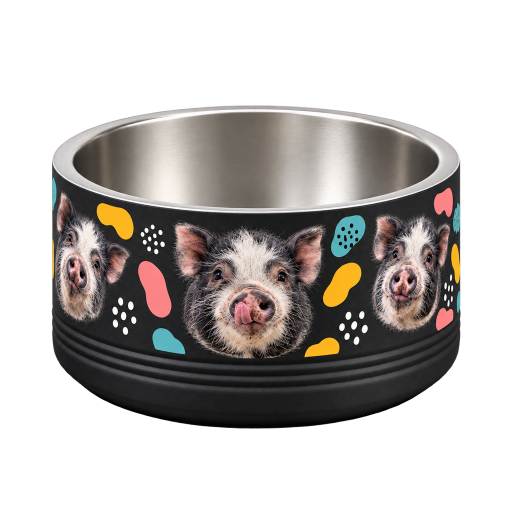 Sheloves catalog packshot · Pet Bowl · packshot-20260918