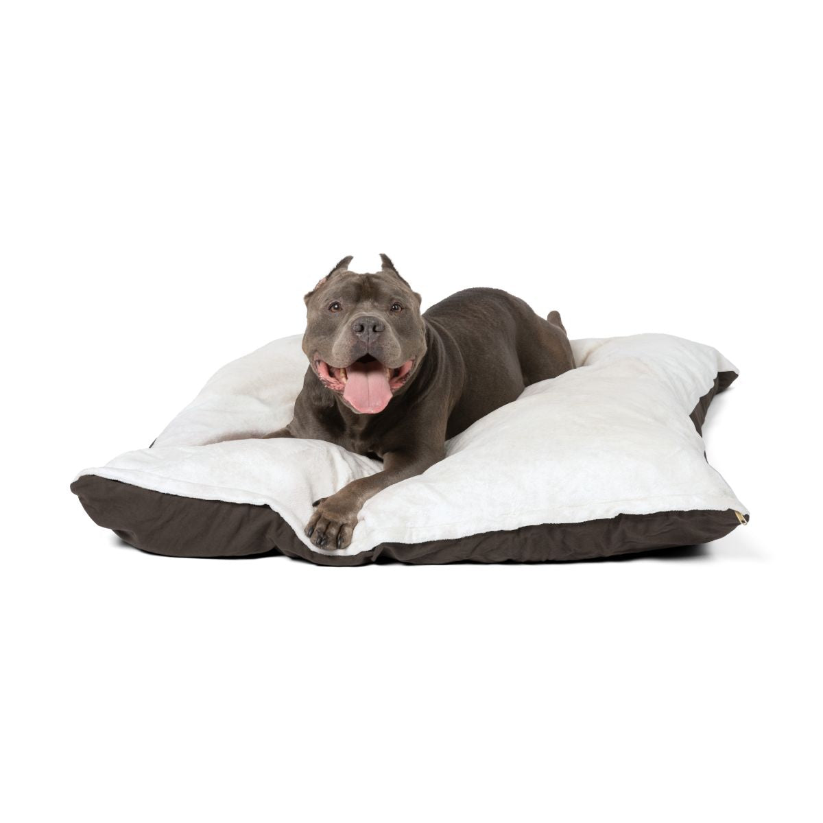 Personalized Pet Bed — other